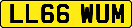 LL66WUM