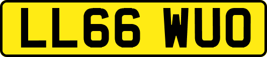 LL66WUO
