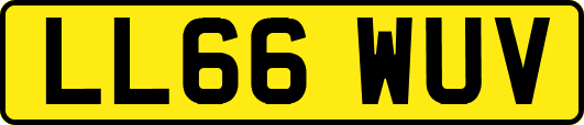 LL66WUV