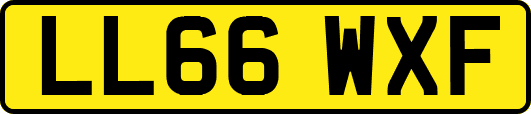 LL66WXF