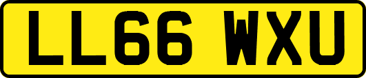 LL66WXU