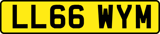 LL66WYM