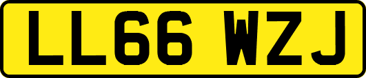 LL66WZJ