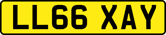 LL66XAY