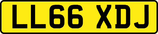LL66XDJ