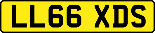 LL66XDS