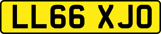LL66XJO