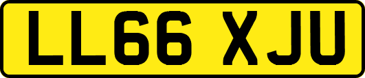 LL66XJU