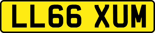 LL66XUM