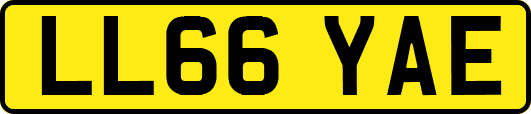 LL66YAE