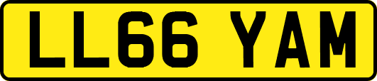 LL66YAM