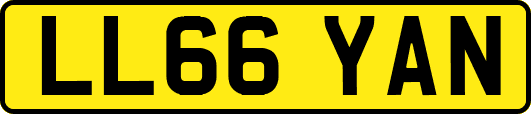 LL66YAN
