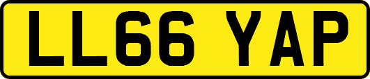 LL66YAP