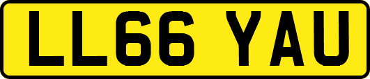 LL66YAU