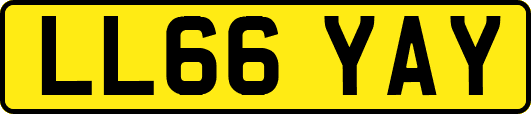 LL66YAY
