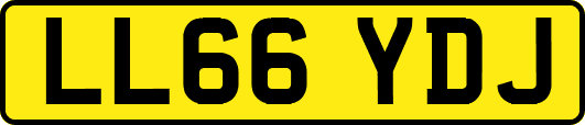 LL66YDJ