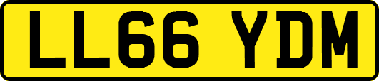 LL66YDM