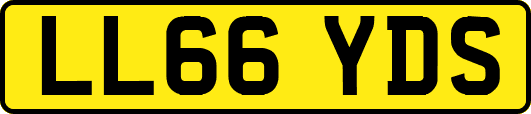 LL66YDS