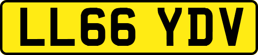 LL66YDV