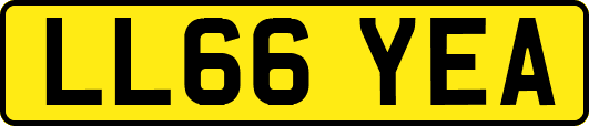 LL66YEA