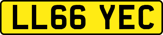 LL66YEC