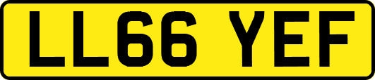 LL66YEF