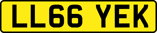 LL66YEK