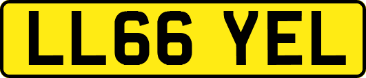 LL66YEL