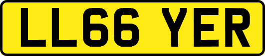 LL66YER