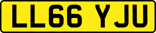 LL66YJU