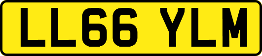 LL66YLM
