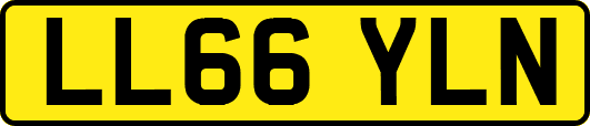 LL66YLN