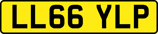 LL66YLP