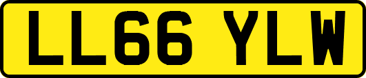 LL66YLW