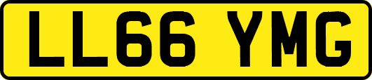 LL66YMG