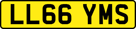 LL66YMS