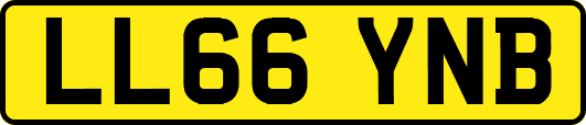 LL66YNB