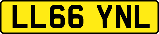 LL66YNL