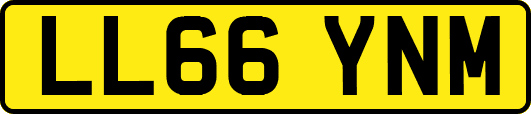 LL66YNM