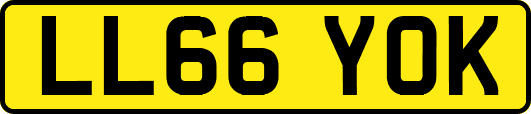 LL66YOK