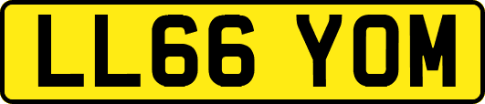 LL66YOM