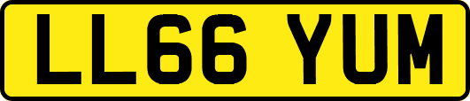 LL66YUM