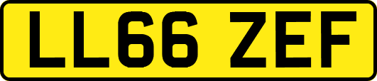 LL66ZEF