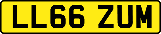 LL66ZUM