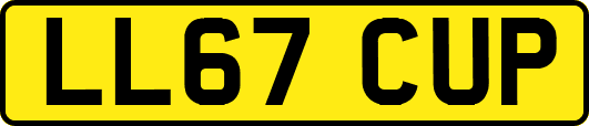 LL67CUP