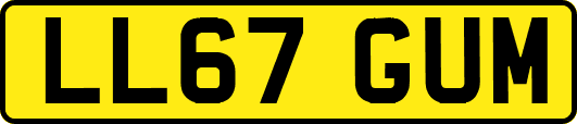 LL67GUM