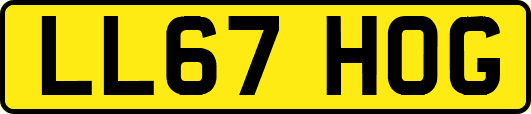 LL67HOG