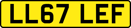 LL67LEF