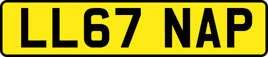 LL67NAP