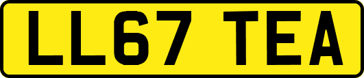LL67TEA